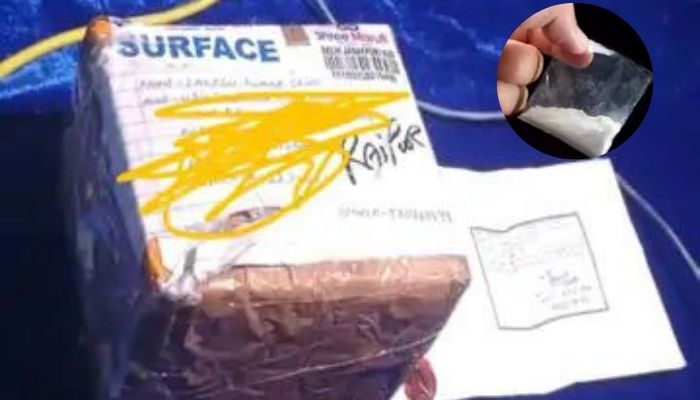 Raipur Cocaine Smuggling