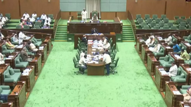 Issue of Pregnant Students