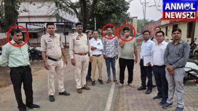 Counterfeit Drugs Supply Chain