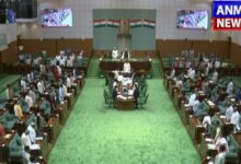 Special Session of Assembly