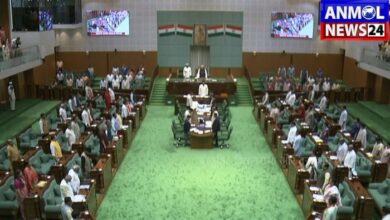 Special Session of Assembly