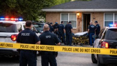 Mass Shooting in America