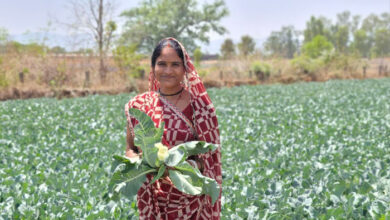 लखपति दीदी