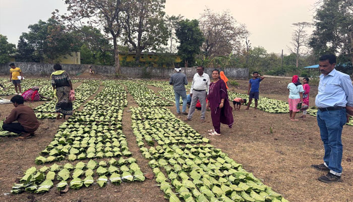 हरा सोना संग्राहक