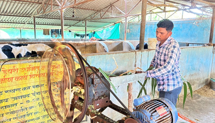 मल्टी-फार्मिंग