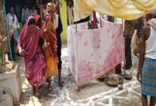 छत्तीसगढ़ की अनोखी शादी