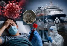 Hanta Virus Alert