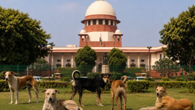 SC on Dog Bite