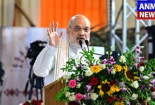 Shah on Naxalism Ending