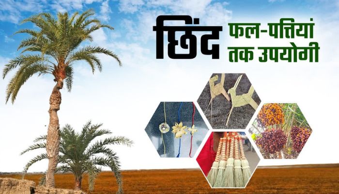 Chhind Herbal Coffee